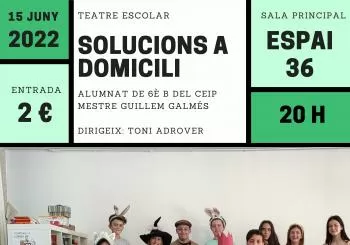 SOLUCIONS A DOMICILI en Sant Llorenç des Cardassar