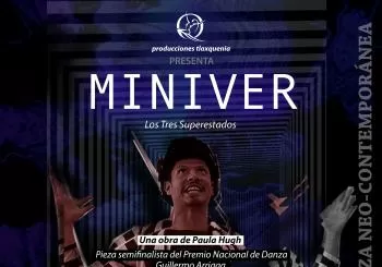 MINIVER en Ciudad de Mexico