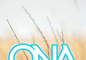 ONA fest 2022 en San Pedro de Gaíllos