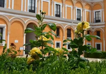 ¡Visita el Alcázar de sin colas! en Sevilla