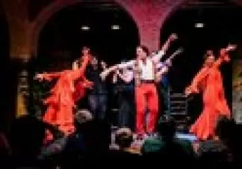 Entrada combinada: Espectáculo Flamenco + Visita al Museo del Baile Flamenco en Sevilla