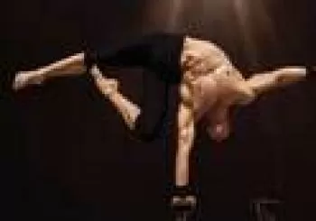 Gran Circo Majestic en Pamplona en Navarra
