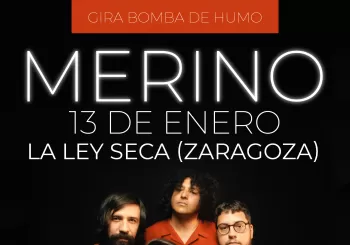 MERINO EN ZARAGOZA-GIRA BOMBA DE HUMO en Zaragoza