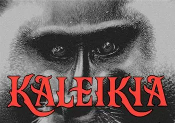KALEIKA | Sala Sete Flores en O Carballiño