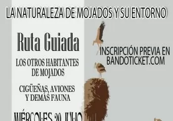 La naturaleza de Mojados y su entorno 