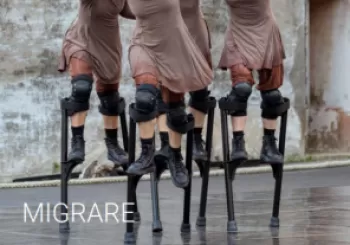 MIGRARE en Vinaròs