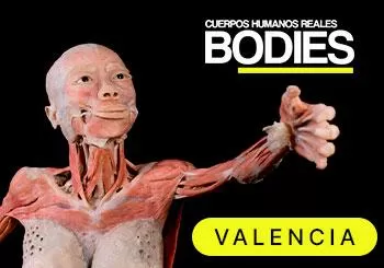 Bodies en Valencia