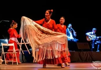 Flamenco Private Class en Barcelona