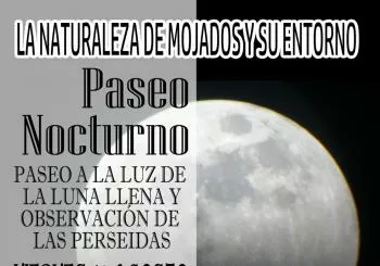 La naturaleza de Mojados y su entorno, paseo nocturno 