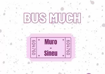 BUS VERBENERO - MUCH'22 en Muro