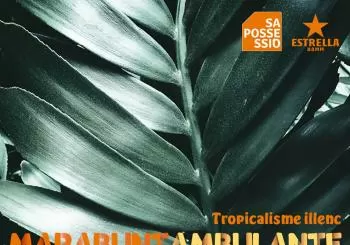 Marabuntambulante en Sa Possessió en Palma de Mallorca