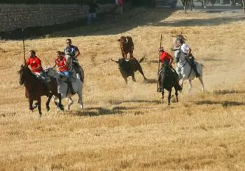 ENCIERRO POR EL CAMPO ARBANCON 2022