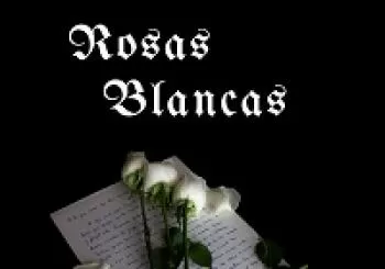 ROSAS BLANCAS en MURCIA