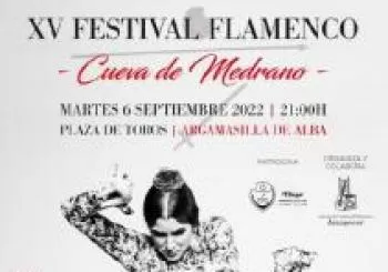 15º FESTIVAL FLAMENCO CUEVA DE MEDRANO en TOMELLOSO 1
