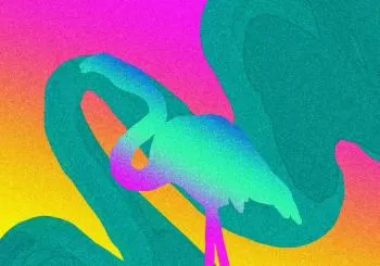 Poly-Rythmo Club x Homies & Sonido Tupinamba en Barcelona