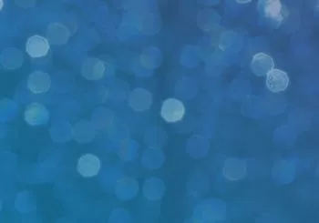 Alfons - Wo kommen wir her ? Wo gehen wir hin?.... en Wolfsburg