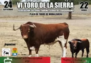 VI Toro de la Sierra en MADRID