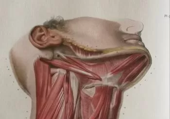 Anatomía Poética amb Elena Córdoba en Barcelona