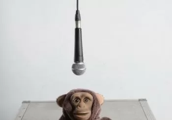 Domingos do Principal 2022 - "Tarz&aacute;n en el div&aacute;n" - Compa&ntilde;&iacute;a: Mar Mar Teatro en Pontevedra