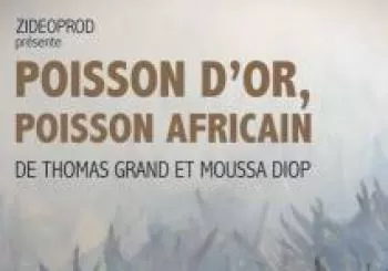 Golden Fish, African Fish (2018) V.O.S.E en MADRID