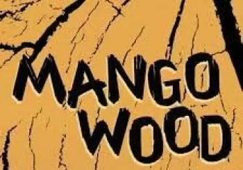 Mango Wood + Dj's en Barcelona