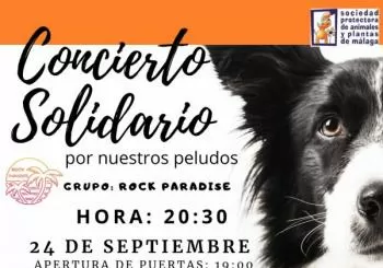 CONCIERTO SOLIDARIO (ROCK PARADISE) en Málaga