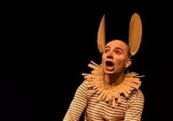 PINOCCHIO, UNA HISTORIA DELIRANTE en NAVARRA
