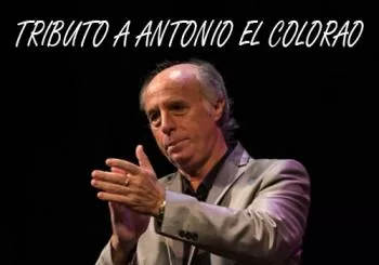 Tributo a Antonio El Colorao en GRANADA