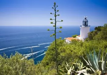 1a Caminada La Capsa dels Records en Palafrugell