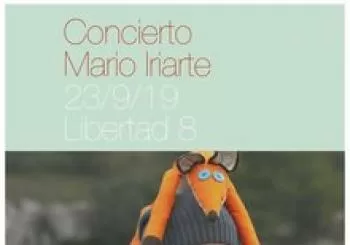 Concierto Mario Iriarte. En Madrid
