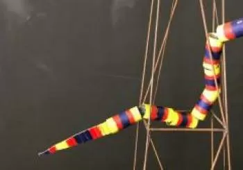 Taller de creación de títeres con material reciclado: crea una serpiente en MADRID