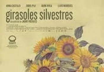 Girasoles silvestres en azpeitia