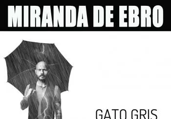 Gato Gris en Miranda de Ebro