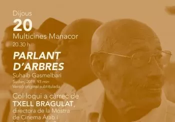 Parlant d'arbres en Manacor