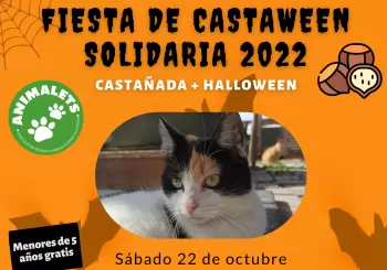 Fiesta de Castaween Solidaria en La Llagota