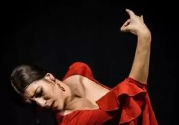 Tablao Flamenco con Rocio La Pequeña. En Sevilla