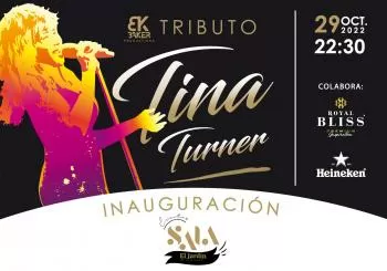 Tributo a Tina Turner Tenerife 