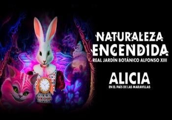 Alicia - Naturaleza Encendida Premium en Madrid