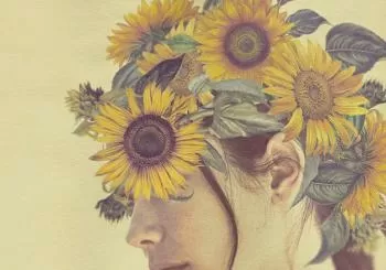 Entradas Girasoles silvestres en Cines Yelmo y Cinesa en Madrid