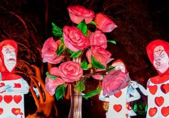 Alice in Magical Garden: espetáculo de luzes noturno by Ocubo en Porto