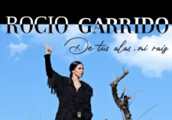 Espectáculo De tus alas mi raiz, a cargo de la bailaora Rocío Garrido en ALMERÍA