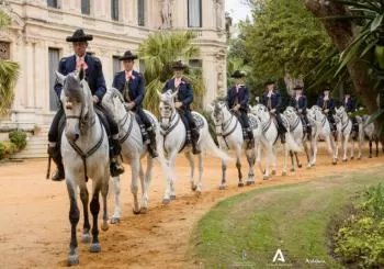Experiencia Alma Jerez