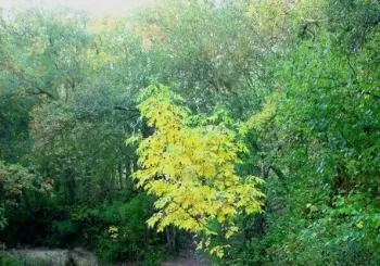Ruta de senderismo por los Montes de Vitoria en Vitoria-Gasteiz
