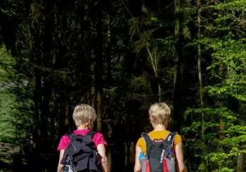 Nordic walking en Vitoria-Gasteiz