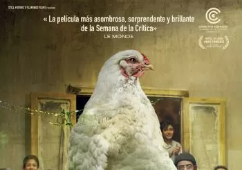 Plumas en Donostia