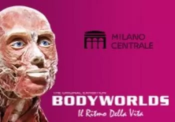 Body Worlds - Il ritmo della vita en Galleria dei Mosaici lato IV Novembre Via IV Novembre MILANO MI