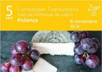 TASTOS I TALLERS A LA SERRA Tast de formatge de cabra a Formatges Tramuntana (Pollença) en Pollença, Illes Balears