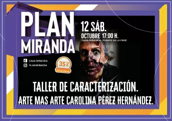 Taller de caracterización - Plan Miranda