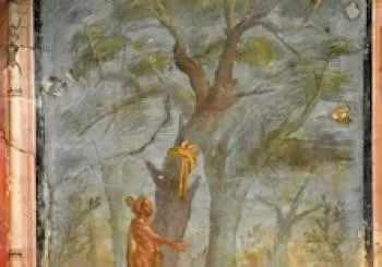 Oplontis en AREA ARCHEOLOGICA VESUVIANA