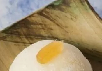 MARIDATGE DE MOCHIS amb Adrià Montserrat (8-21 places). En Barcelona